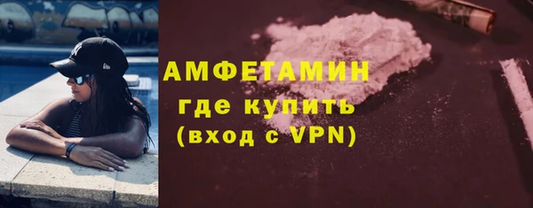 прущие грибы Вязники