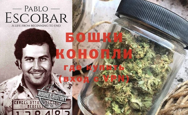 мдпв Володарск