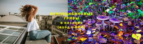 прущие грибы Вязники