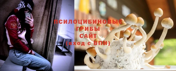 мдпв Володарск