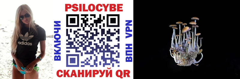 Псилоцибиновые грибы GOLDEN TEACHER  Купить где  Лосино-Петровский 